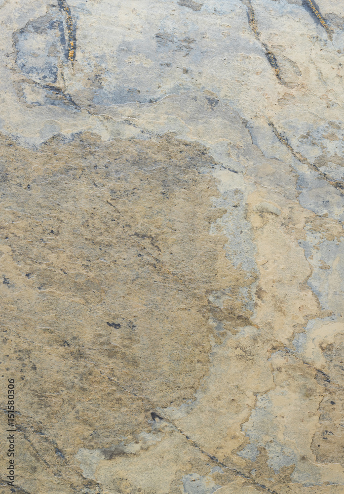 Exclusive collection of background textures decorative plaster for walls. For all types and styles of interior design. Background texture of a matt structure with a warm tint. Abstract raised pattern Exclusive collection of background textures decorative plaster for walls. For all types and styles of interior design. Background texture of a matt structure with a warm tint. Abstract raised pattern