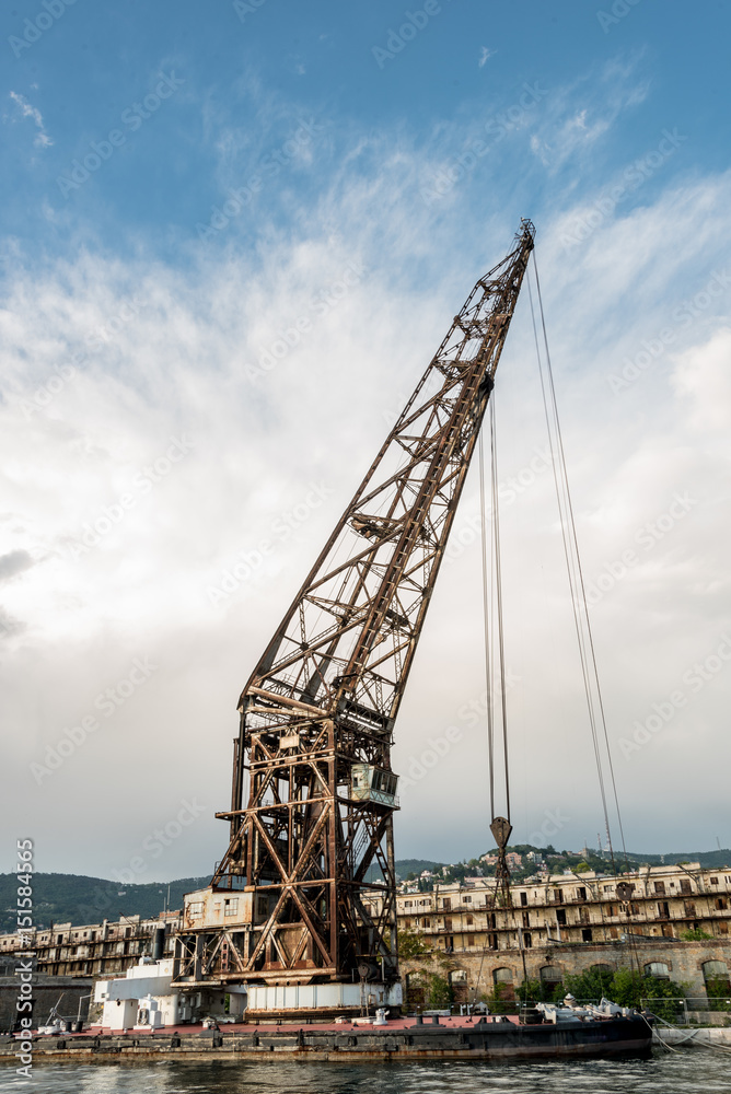 Fototapeta premium Crane Founded in 1914 to build the new battleships of the Austro-Hungarian Imperial Navy in Trieste, Italy.