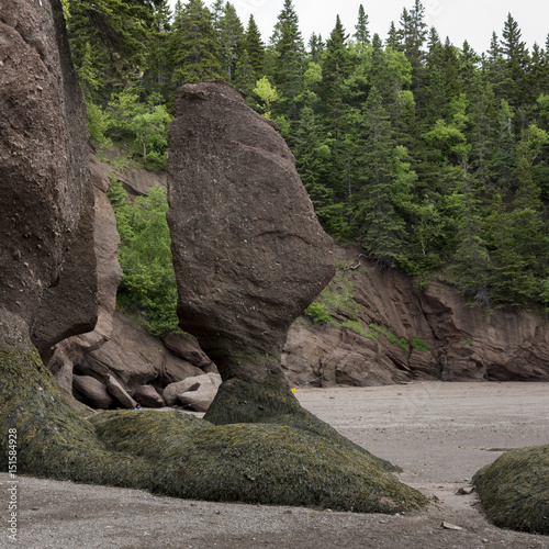 Rock formation on the Bay of Fundy, New Brunswick, Canada 