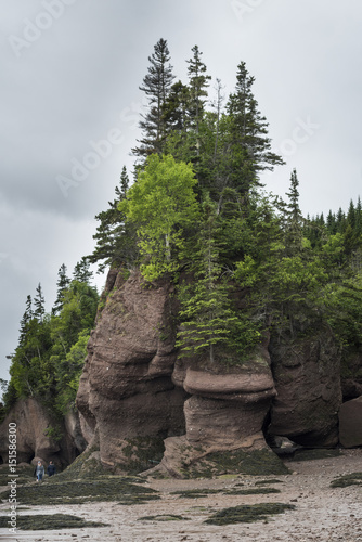 Rock formation, Bay of Fundy, New Brunswick, Canada