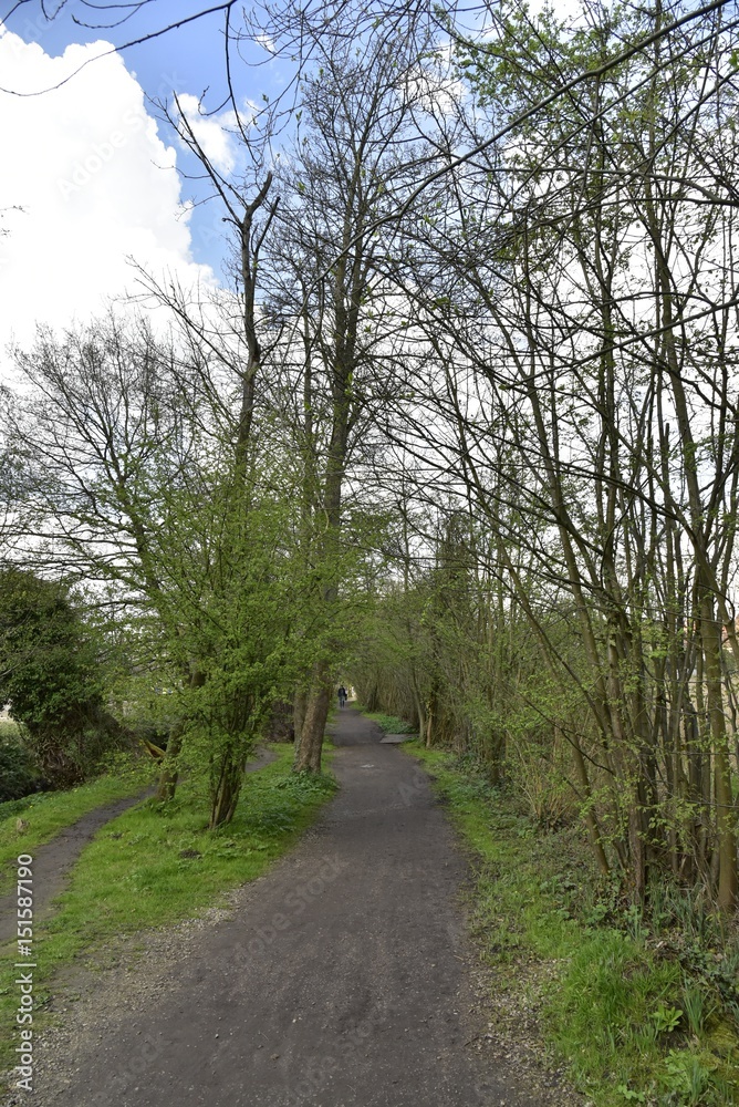 Fototapeta premium Chemins en terre dans le bois au parc des Sources à Woluwe-St-Pierre