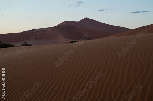 Big Daddy Dune at Dawn  Desert Landscape  Sossusvlei  Namibia