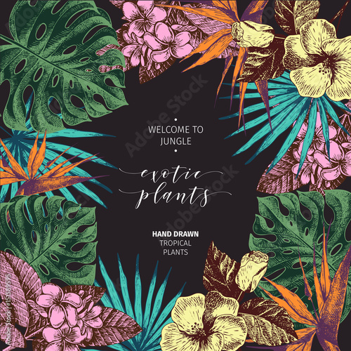 Vecotr hand drawn tropical plants poster. Exotic engraved leaves and flowers. Monstera, livistona palm leaves, birdof paradise, plumeria, hibiscus.