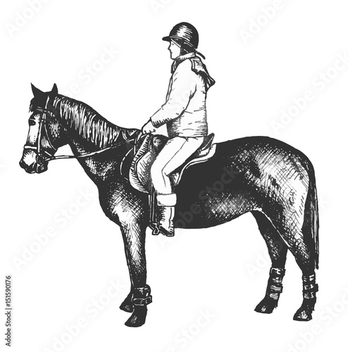 horse rider