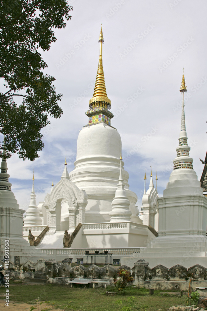 Fototapeta premium 139114.JPG