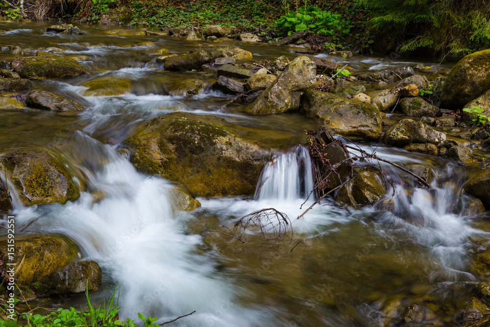 Fast mountain river , spring in Carpathians, Ukraine Fast mountain river , spring in Carpathians, Ukraine