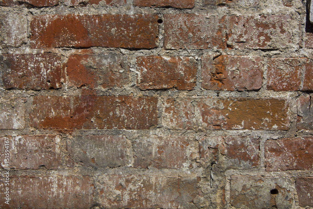 Obraz premium Old brick wall background. Grunge texture.