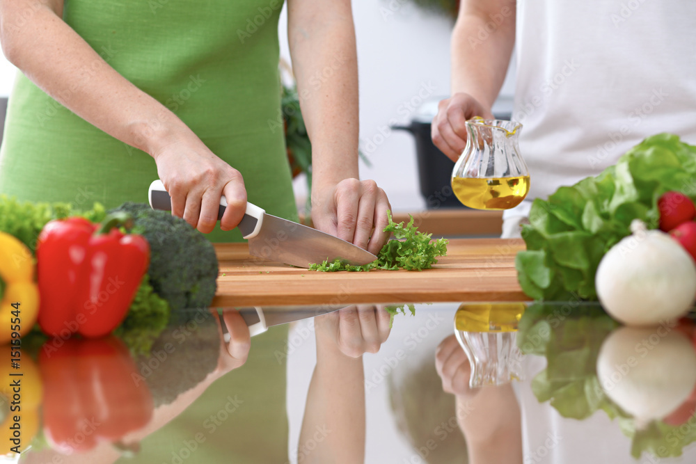 Closeup of two women are cooking in a kitchen. Friends having fun while preparing fresh salad Closeup of two women are cooking in a kitchen. Friends having fun while preparing fresh salad