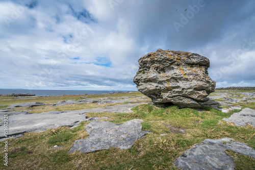 Obraz na płótnie Glacial erratic boulder w salonie
