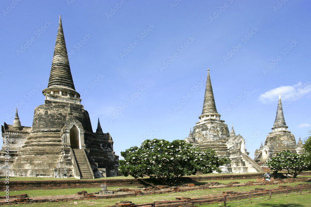 Fototapeta premium 138738.JPG