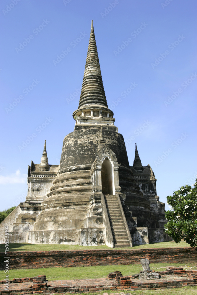 Fototapeta premium 138737.JPG