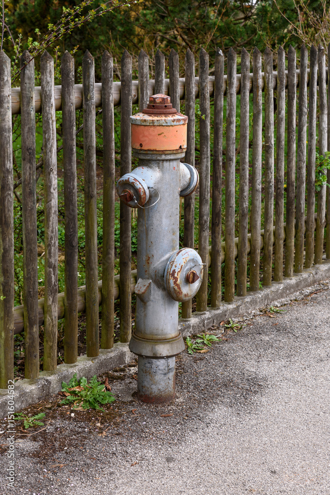 Obraz premium Hydrant