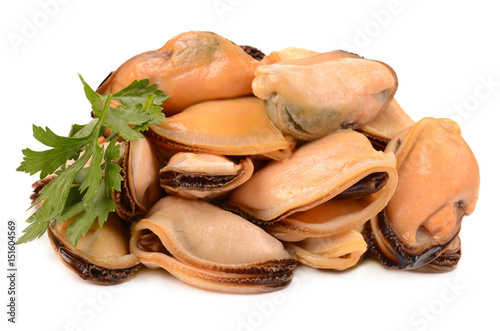 mussels on a white background