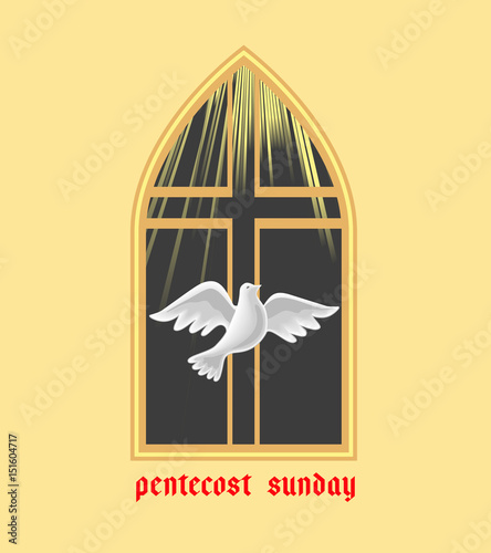 Holy Spirit icon. Hand drawn style. Christian holiday Pentecost Trinity Sunday concept. Church sacrament biblical symbol of flying spiritual dove. Pentecostal greeting. Vector religious illustration