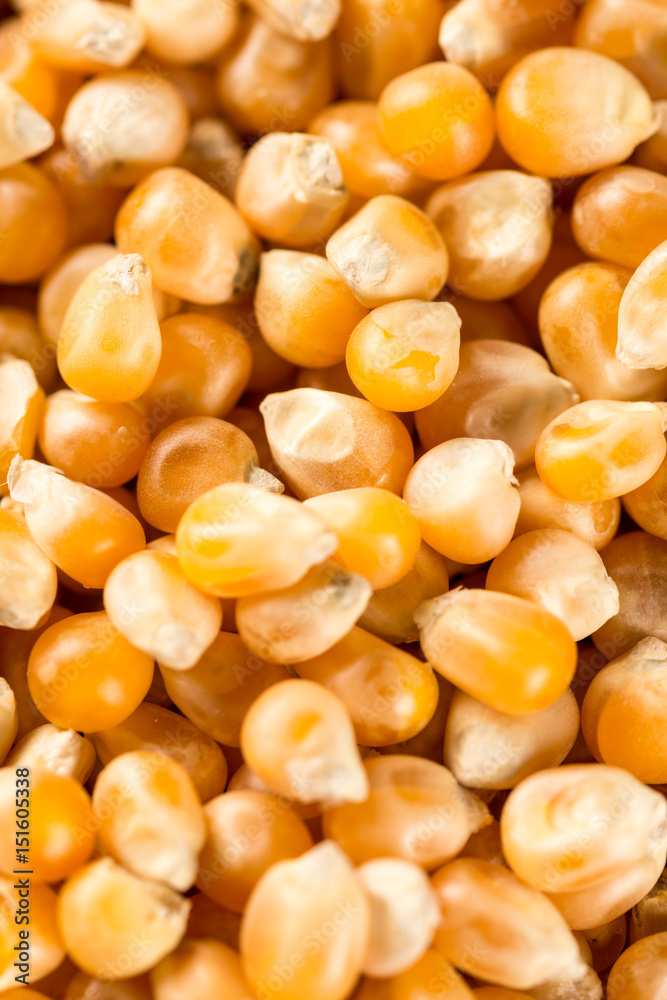 Closeup macro flat lay above raw popcorn for advertising Closeup macro flat lay above raw popcorn for advertising