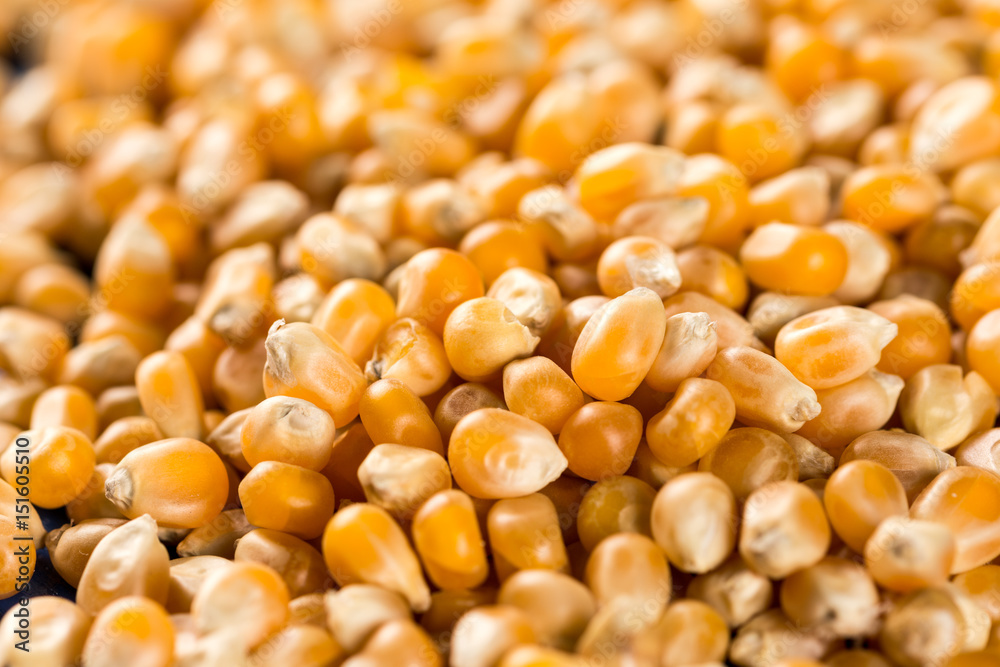 Closeup macro flat lay above raw popcorn for advertising Closeup macro flat lay above raw popcorn for advertising