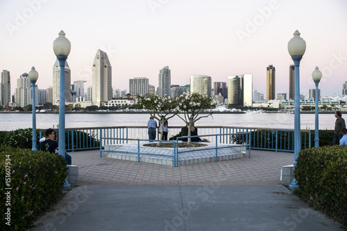 Tree in front of San Diego Skyline