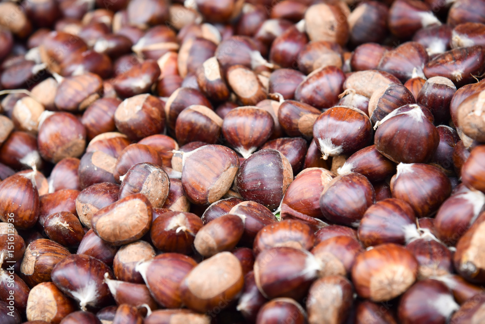 Closeup of a group of chestnuts . Closeup of a group of chestnuts .