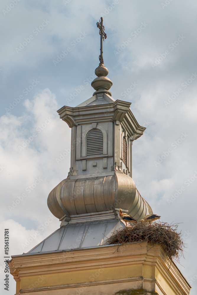 Naklejka premium Stork Nest on Church Rooftop