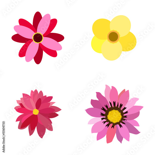 Set of colored flowers on a white background, Vector illustration