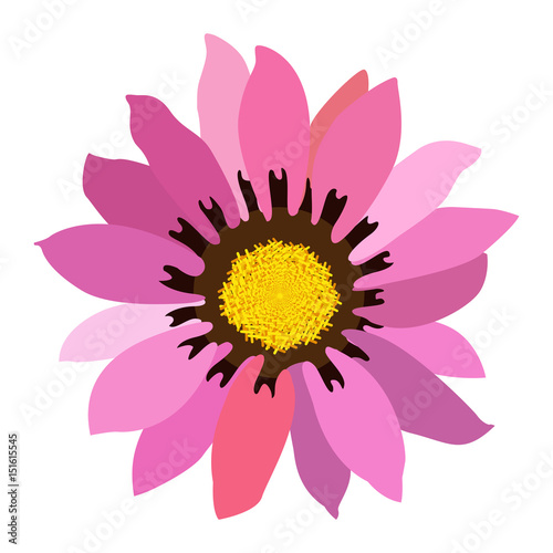 Isolated colored flower on a white background  Vector illustration