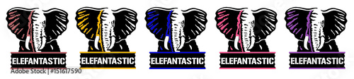 Elefant - Elefantastic