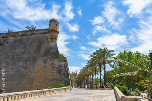 Palma Mallorca seaside palm trees promenade and Es Baluard Fort  photo