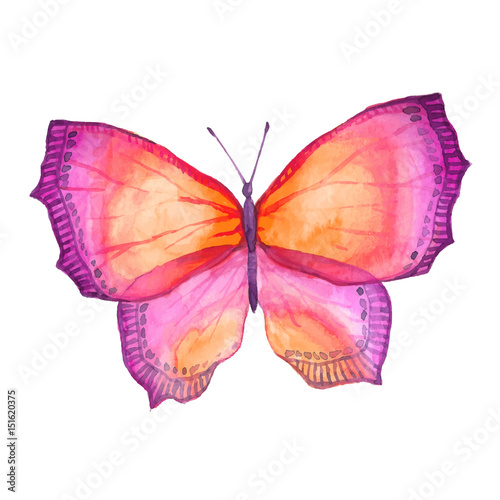 Watercolor color butterfly drawing © Artur