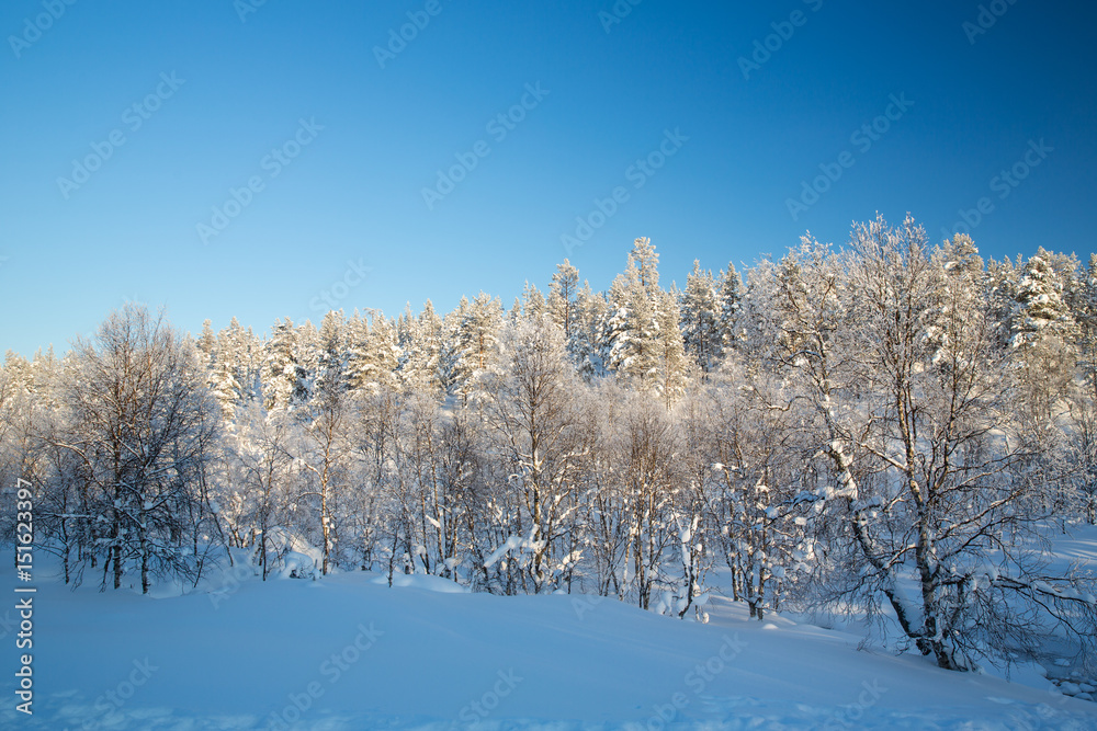 Winter landscape in Urho Kekkonen National Park, Finland. Winter landscape in Urho Kekkonen National Park, Finland.