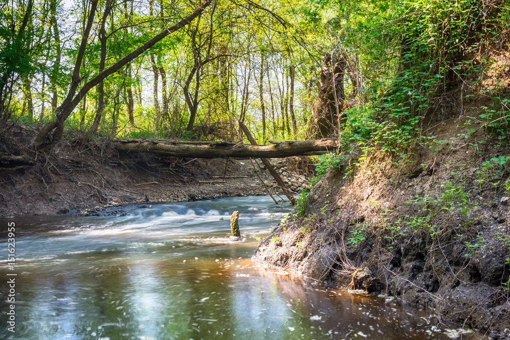 Mountain stream in green forest at spring time Mountain stream in green forest at spring time