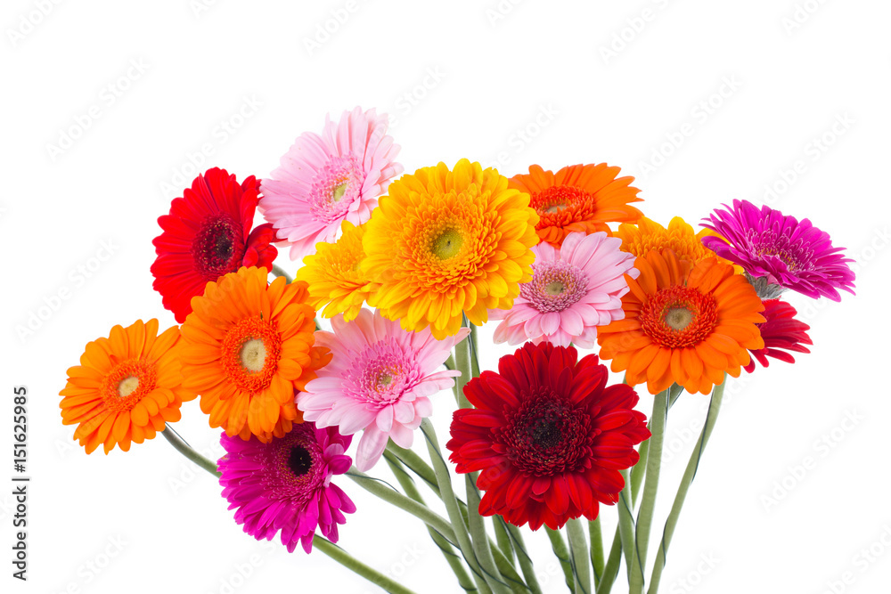 Gerbera - Blumenstrauß - Bunte Blumen - Freisteller Stock Photo | Adobe  Stock