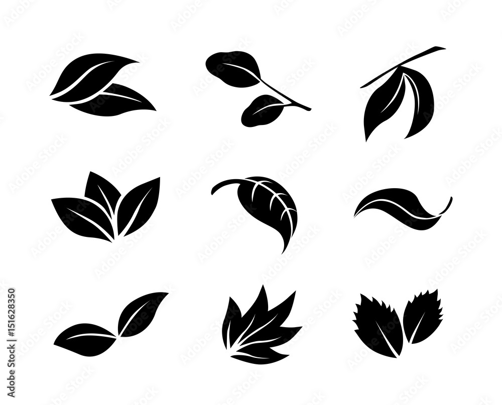 Fototapeta premium Set of black simple vector leaves icons isolated on white background