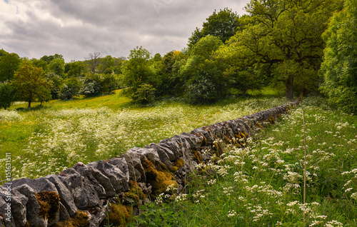 Fototapeta Tradycyjny angielski krajobraz z murem z kamienia bez zaprawy w Peak District