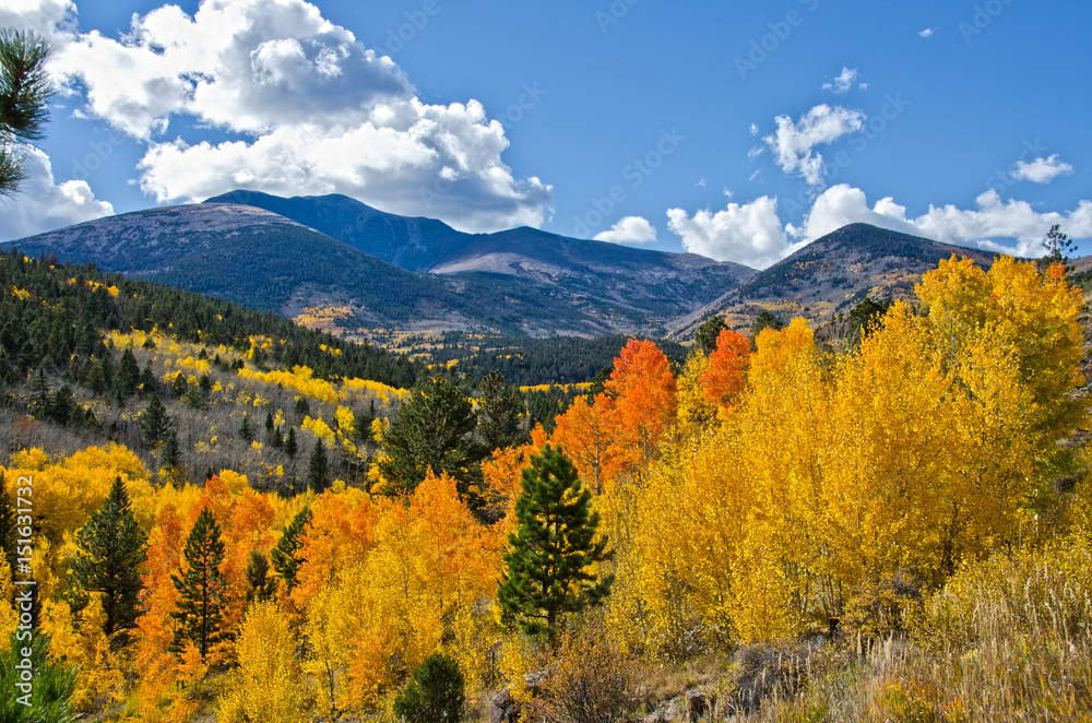 DAutumn in the Mountains of Colorado