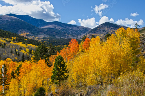 Autumn in the Mountains of Colorado