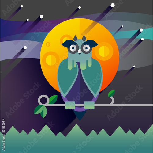 Flat illustration with owl, moon, sky.