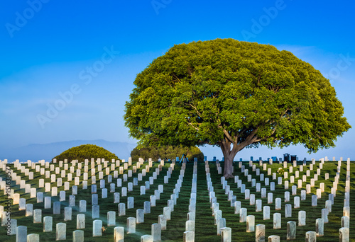 Fort Rosecrans National Veteran Cemetery in Point Loma, California photo