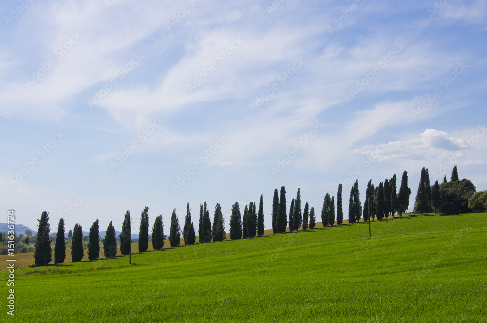 Landscape of the Val d'Orcia