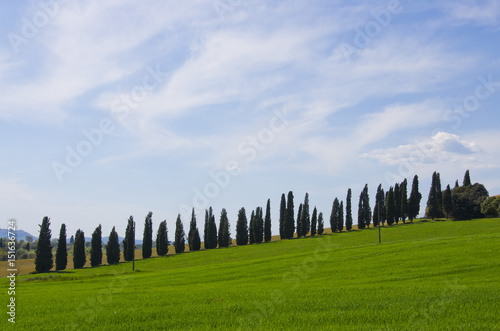 Landscape of the Val d Orcia