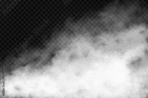Fotomurale Vector realistic isolated smoke effect on the transparent background