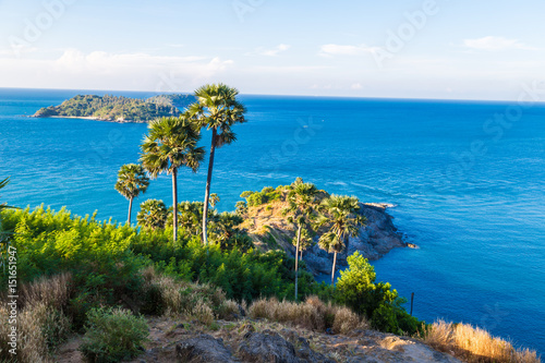 Sea shore tropical rocky beach with palm tree