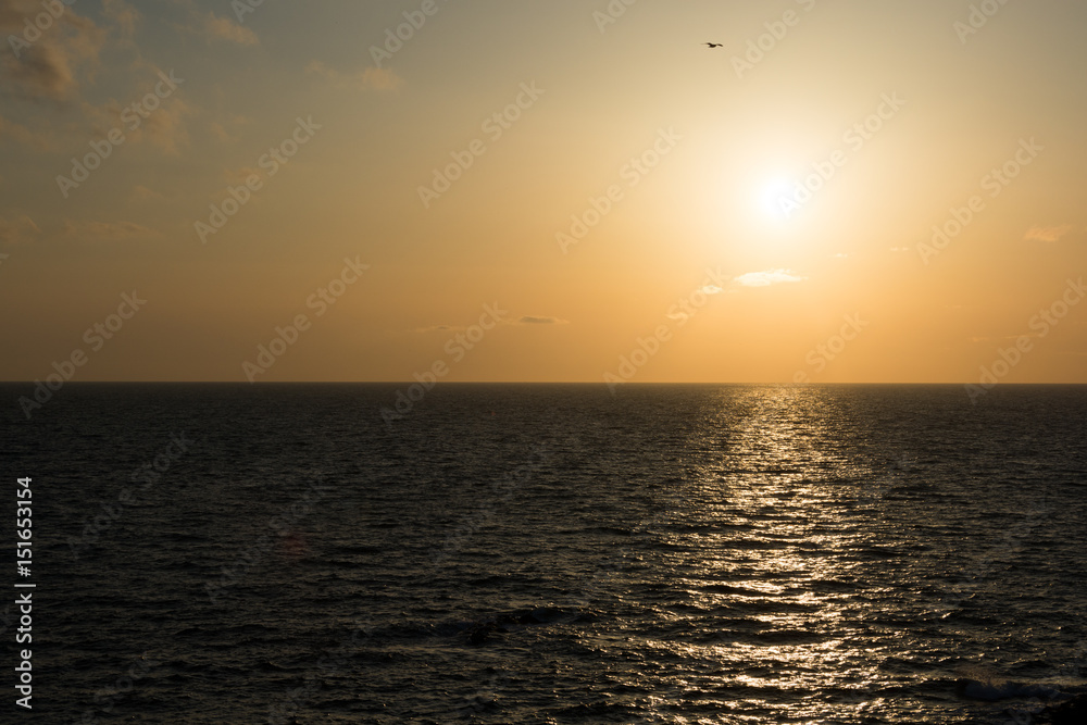 夕暮れの海 夕暮れの海