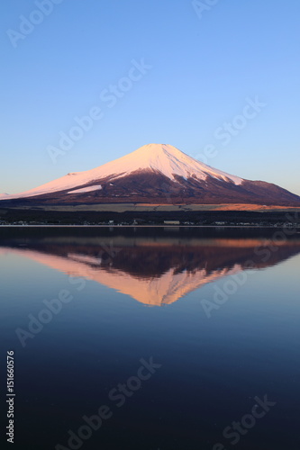 Fuji Mountain