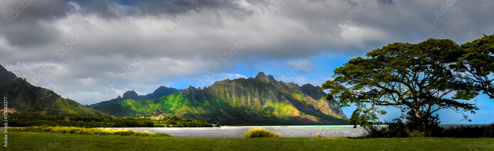 Fototapeta premium Hawaii