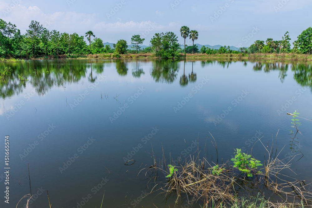 Irrigation pond Irrigation pond