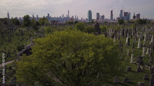 rising over tree in Queens cemetery to reveal Manhattan skyline photo