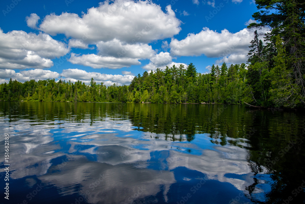 Obraz premium reflecting clouds and forest, sawbill lake, bwcaw