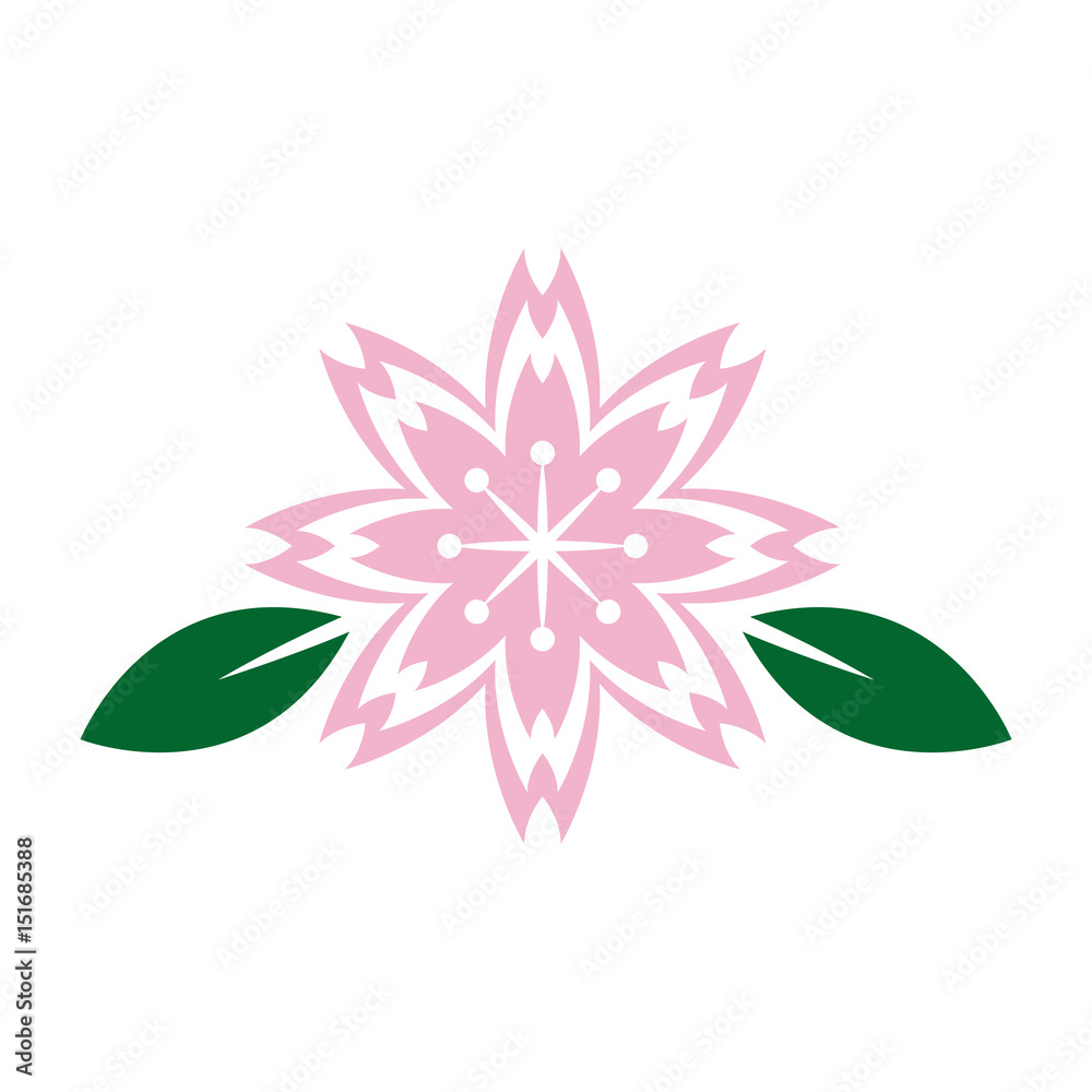 sakura flowers. traditional symbol of spring in japan. vector illustration sakura flowers. traditional symbol of spring in japan. vector illustration
