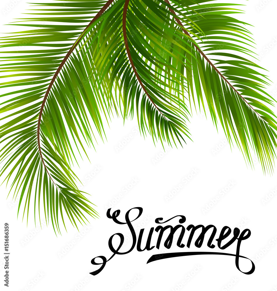 Obraz premium Lettering Text Summer with Palm Leaves