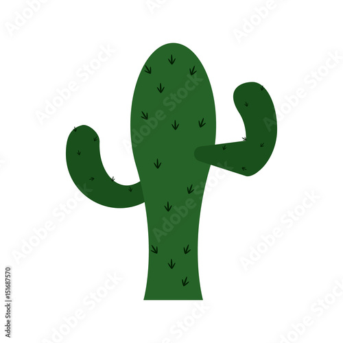 single cactus icon image vector illustration design
